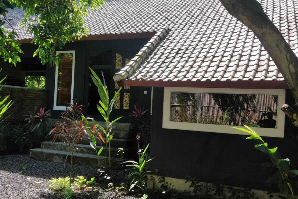 Villa King: Unique Villa With Indoor Swimming Pool Amed Exterior foto